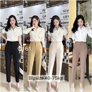 Quần baggy lưng cạp cao vải from đẹp thời trang âu công sở dày cạp 2 cúc-XMHH-Mã 169A