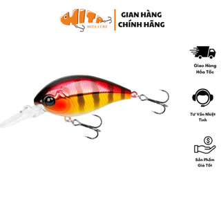 Mồi crankbait chuyên lure cá mú, cá hồng miêu, cá vượt Tsurinoya DW87 Hita Lure