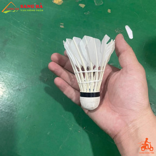 Quả Cầu Lông Jiasheng 100 - Trái cầu lông lông vũ