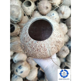 Gáo dừa thô khoan lỗ phía trên