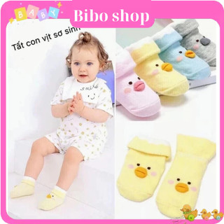 Tất vịt thun cotton có chống trượt xinh xắn cho bé sơ sinh