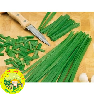 Hạt giống lá hẹ cao sản (tặng kèm phân bón)