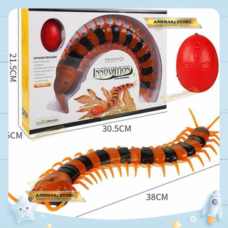 ĐỒ CHƠI RẾT ĐIỀU KHIỂN TỪ XA - NO.9901 - anhma84 store tphcm