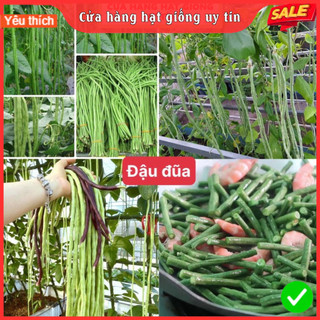 Hạt Giống Đậu Đũa F1 Loại Siêu Dễ Trồng, Dễ Thu Hoạch năng suất cao