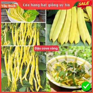 Hạt Giống Đậu Cove F1 (Xanh + Vàng) Loại Siêu Dễ Trồng, Dễ Thu Hoạch