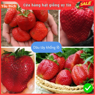 Hạt Giống Dâu Tây Khổng Lồ F1 loại Chịu Nhiệt Dễ Trồng Dễ Chăm Sóc Gói 50 hạt Tỉ lệ nảy mầm 90 - 95%