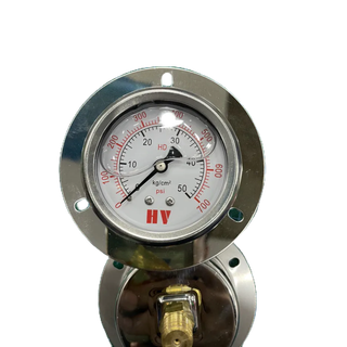 Đồng hồ đo áp suất khí nén và thủy lực có vành