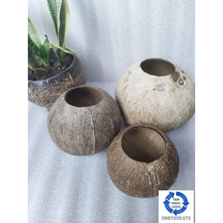 Gáo hủ khoan lỗ gáo làm sạch sơ