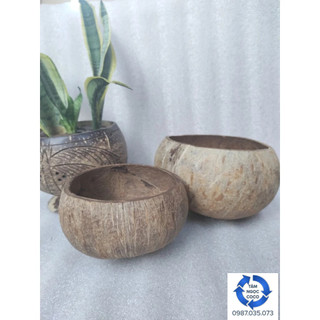 Gáo gà cắt 2/3 gáo làm sạch sơ