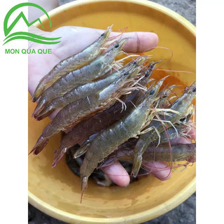 TÔM ĐẤT KHÔ CÀ MAU  LOẠI  1 GÓI 500gr