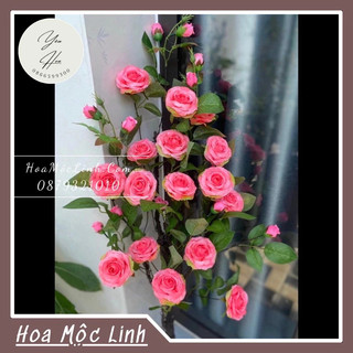 Cây hoa hồng mây, cây nhân tạo 105cm, cây giả cao cấp, cây hoa lụa,