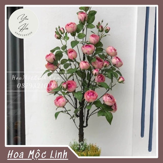 Cây hoa hồng trứng, cây nhân tạo 105cm, cây giả cao cấp, cây hoa lụa,