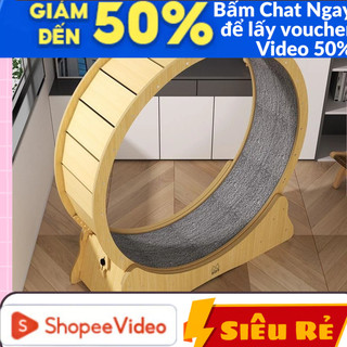 Bánh xe chạy bộ cho mèo catwheel máy chạy bộ cho mèo máy tập thể dục chạy bộ cho mèo