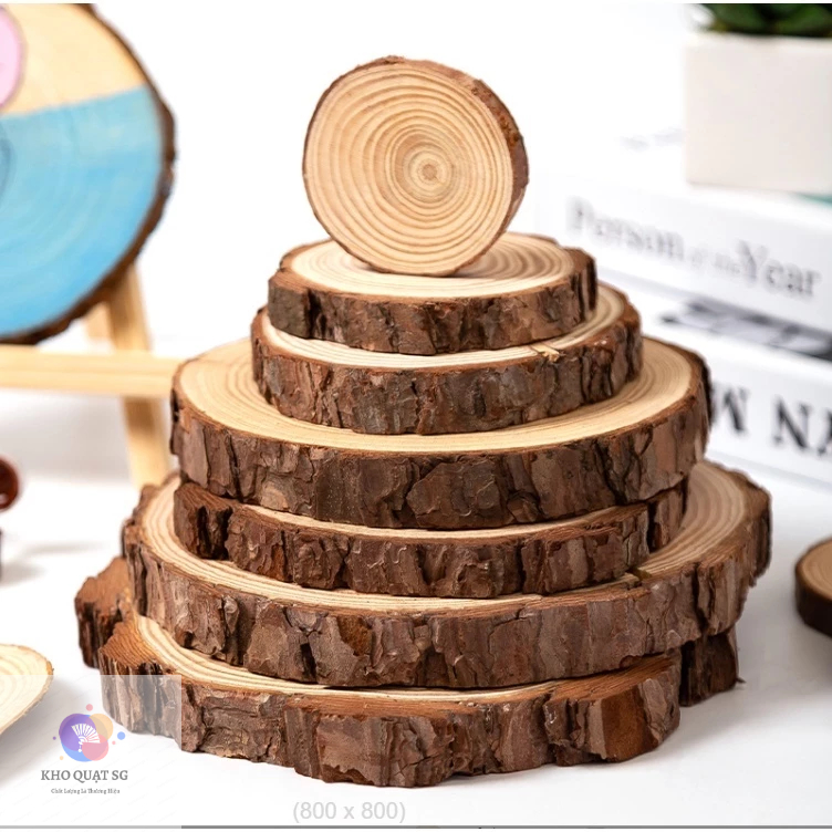 (Sỉ) Tấm Lót Ly Uống Trà, Cà Phê Bằng Khoanh Gỗ Tròn Tự Nhiên, Trang Trí Tường, Làm Đồ Handmade