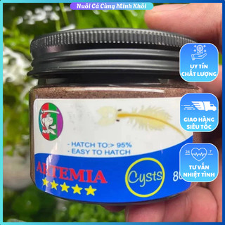 Artemia lon trắng chiết lẻ hủ nhỏ 24h