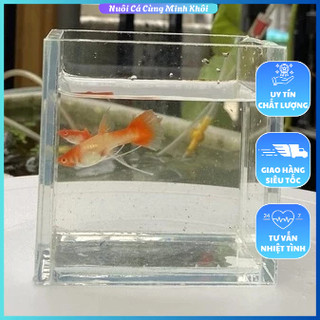 Hồ show cá siêu trong