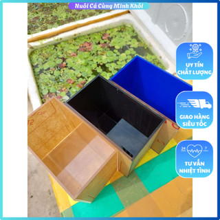 Bể show cá, Keo show, Bể cá mini acrylic, Bể cá Mica