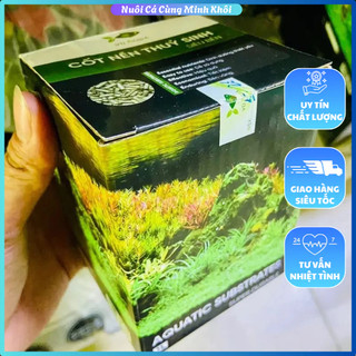 Vũ Aqua-Cốt nền trồng cây thủy sinh cho hồ cá