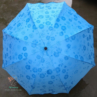 Ô gặp nước nở hoa
