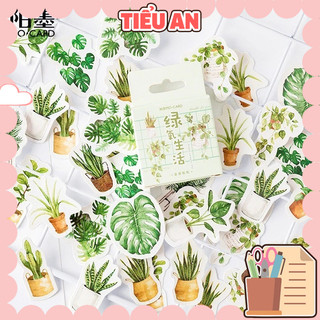 Bộ sticker/ Hình dán Họa Tiết Hoa Lá Cây Cảnh (45 hình)