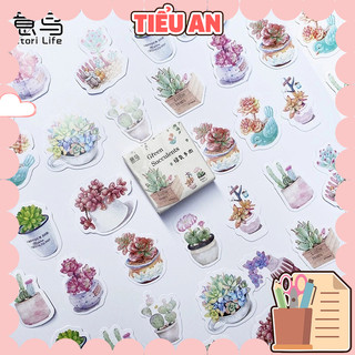 Bộ sticker/ Hình dán Hoa Xương Rồng (45 Hình)