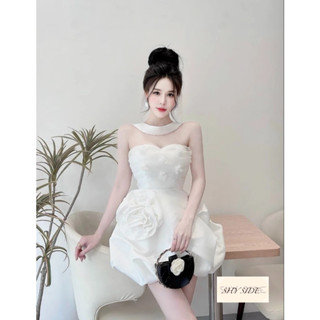 Đầm tafta chân bồng cúp ngực dây cổ phối lưới ngực đính hoa đi tiệc đen trắng hồng SML