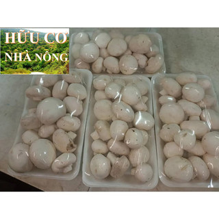 Nấm mỡ tươi Yoshimoto giao hỏa tốc 1kg