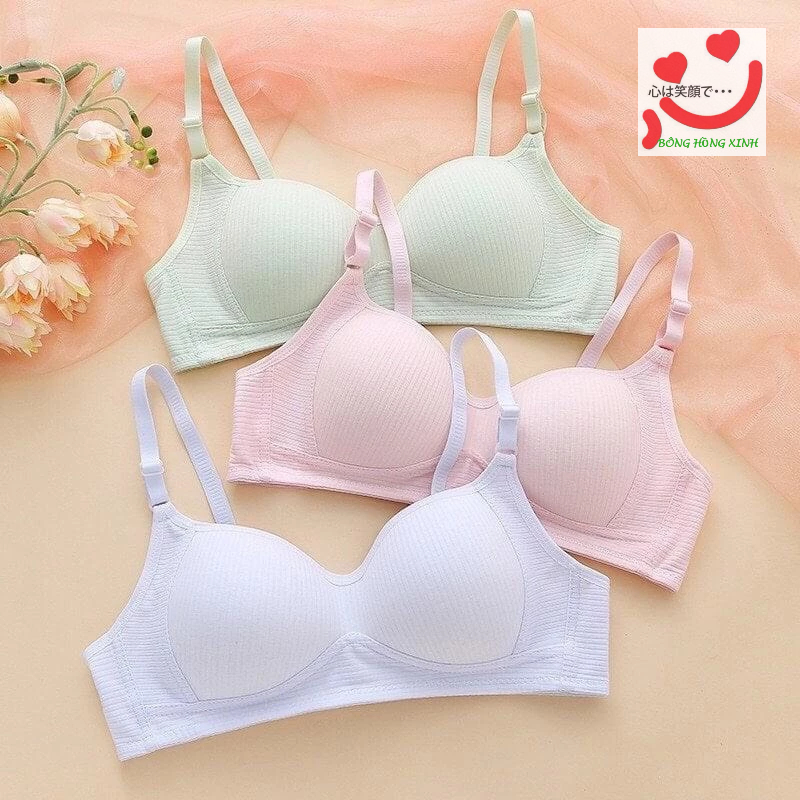(Tăng size) Combo 3 Áo lót nữ cotton không gọng, áo ngực mút mỏng học sinh 138  from nhỏ