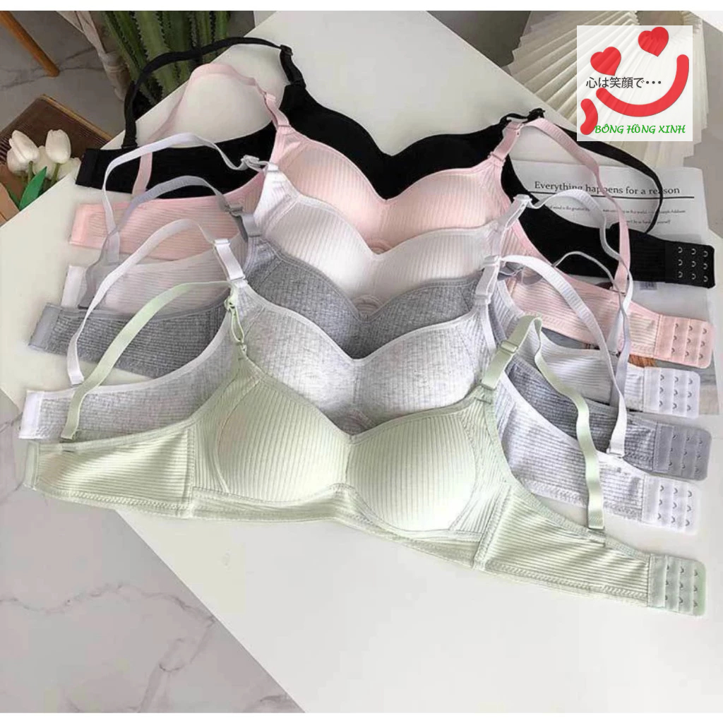 (Tăng size) Combo 3 Áo lót nữ cotton không gọng, áo ngực mút mỏng học sinh 138  from nhỏ