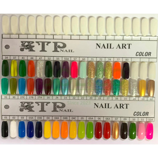 Sơn cọ nét thường tập vẽ atp atp23 nắp bạc 7.4ml