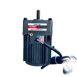Mô tơ giảm tốc 220V _ 25W(280 vòng /phút)