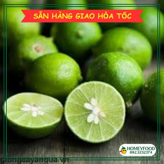 Chanh ta, Chanh xanh tươi pha nước chanh tươi - Giao Hoả Tốc 30p