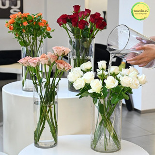 Bình hoa trụ tròn trong suốt meca bình bông meka ống tròn size to cắm hoa thả cá thuỷ sinh decor nhựa acrylic không vỡ