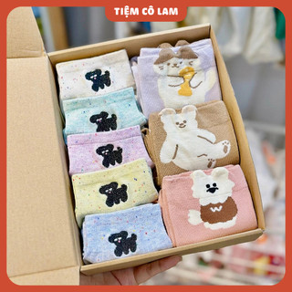 Set 8 Vớ Tone Pastel Mix Cao Thấp Kèm Hộp Làm Quà Tặng _ GIFT BOX 52 