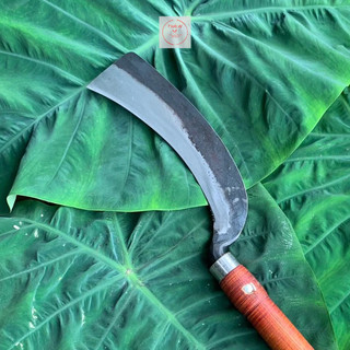 Dao phát cỏ cây 54cm