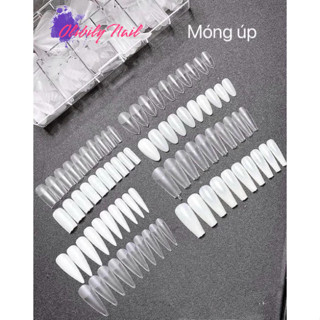 Móng úp Hsm nhám phom vuông, form thang, nhọn, tròn, nhám đục, bầu nhám trong hàng loại 1