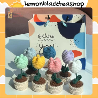 Chậu Hoa Mini Tulip/ Hoa Hướng Dương Đan Móc Len Handmade Làm Qùa tặng 8/3, Quà Tốt Nghiệp, Decor