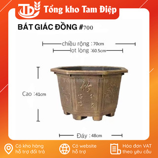 Chậu nhựa giả đồng hình bát giác in họa tiết nổi siêu dày, hàng nhập khẩu cao cấp