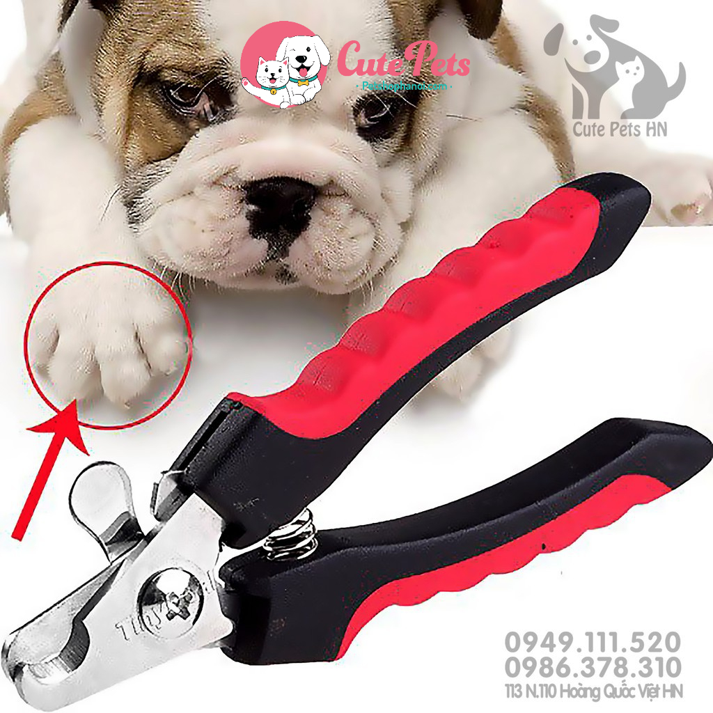 ✂️ Kìm cắt móng chân cho thú cưng + Dũa móng chân - Cutepets