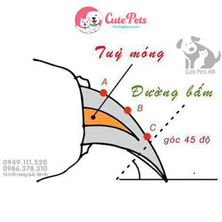 ✂️ Kìm cắt móng chân cho thú cưng + Dũa móng chân - Cutepets