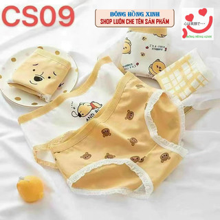 Combo 5 quần lót nữ cotton cute gấu vàng gấu xanh thỏ xanh 45-58kg