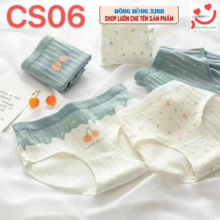 Combo 5 quần lót cute gấu xanh gấu vàng thỏ xanh co dãn 45-60kg