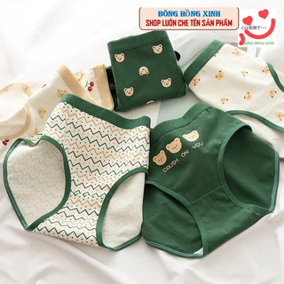 Combo 5 quần lót nữ cotton cute gấu xanh gấu vàng45-58kg