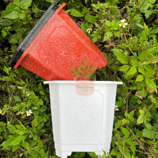   Chậu Vuông cao  Chậu nhựa trồng cây 27x24x18cm 