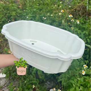 [Chậu bonsai], Chậu nhựa trồng cây Chậu chữ nhật cao cấp, dày dặn, Ang bon sai