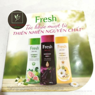 Combo 15 gói dầu gội Fresh ( 5 bưởi , 5 bồ kết , 5 Dưỡng Chất)