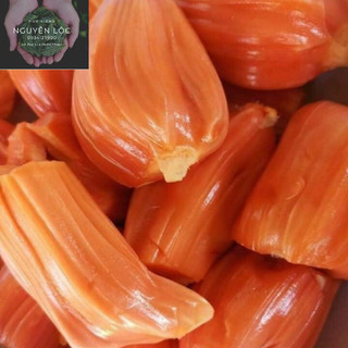 Cây giống mít ruột đỏ- Hoa kiểng Nguyễn Lộc- Cây giống chất lượng cao