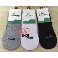 Combo 8 đôi tất lười nam Lacoste