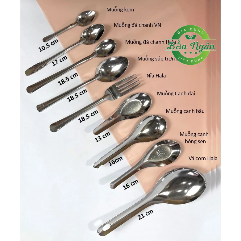 Combo 10 Muỗng Canh/muổng cafe Inox Cao Cấp Loại Dày (Cán Ngắn/cán dài