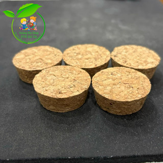 Set 5 Nút bần cho bé tập đóng đinh hoặc nút bình